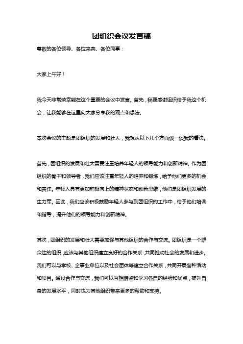 团组织会议发言稿