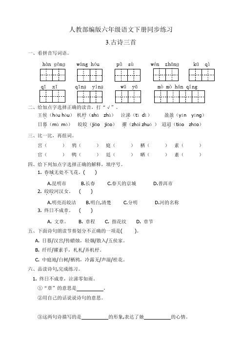 人教部编版六年级语文下册：同步练习3.古诗三首(有答案)