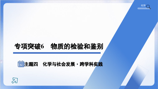 第15讲 跨学科实践   课件 2024年中考化学专题复习(广东专版)