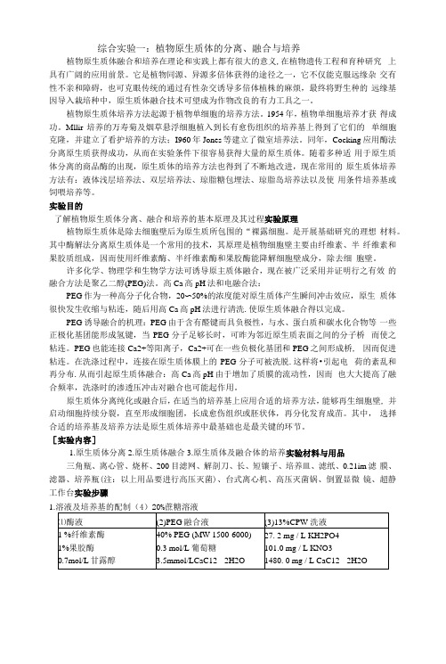 综合实验一：植物原生质体的分离、融合与培养