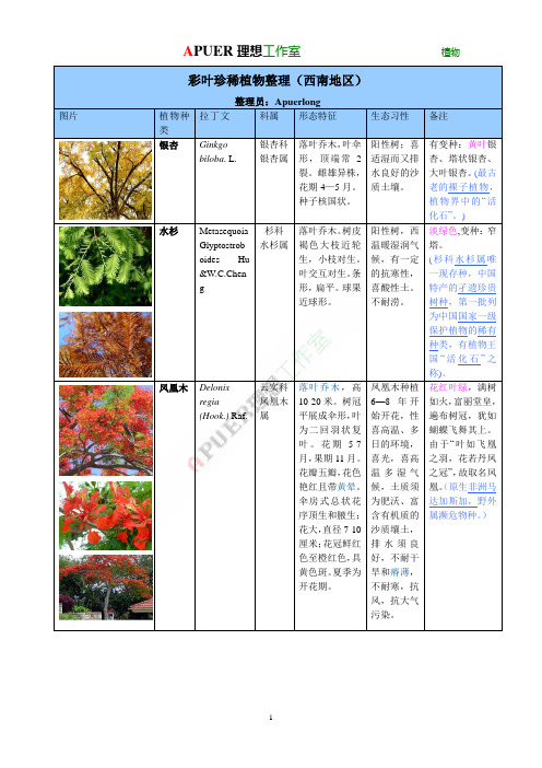 彩叶彩叶植物资源整理表(西南地区)