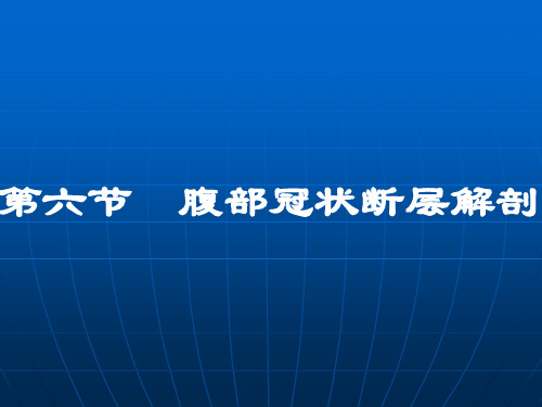 腹部断层解剖第四节腹部冠状断层解剖ppt课件