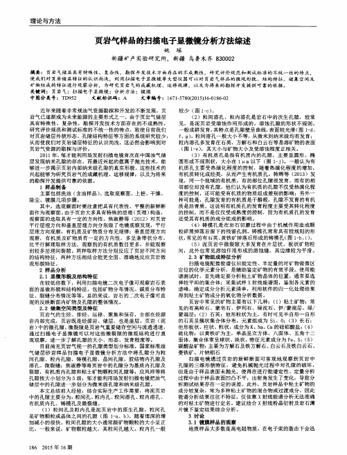 页岩气样品的扫描电子显微镜分析方法综述