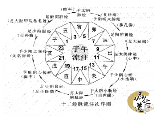 最新：中医经络养之十二时辰养生课件-文档资料