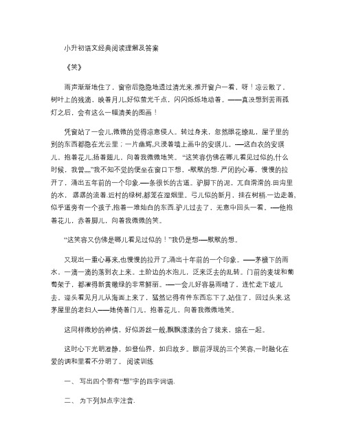 小升初语文经典阅读理解及答案.