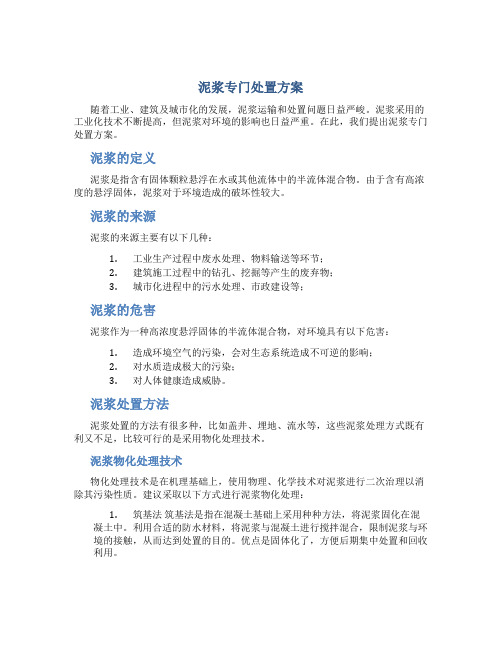 泥浆专门处置方案