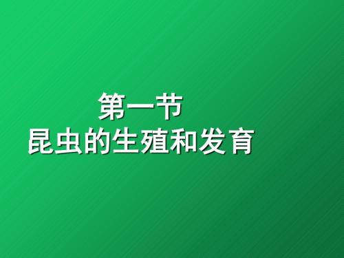《昆虫的生殖和发育》初中生物公开课PPT课件