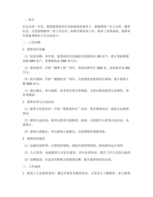 慈善组织的工作总结报告