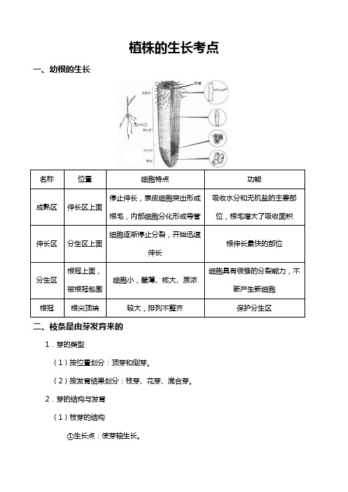 植株的生长考点