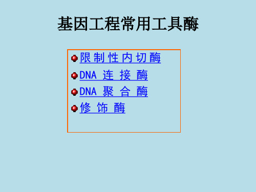 基因工程工具酶