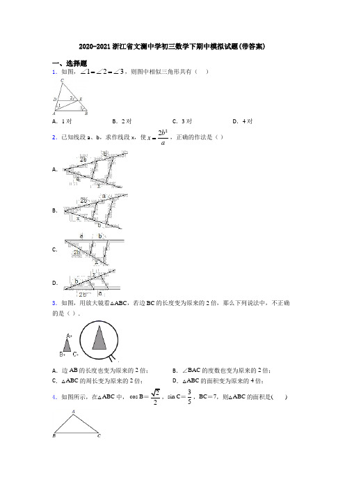 2020-2021浙江省文澜中学初三数学下期中模拟试题(带答案)