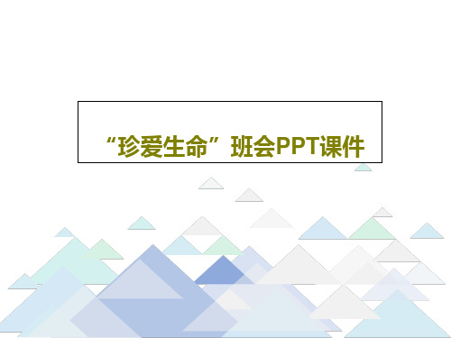 “珍爱生命”班会PPT课件共30页文档