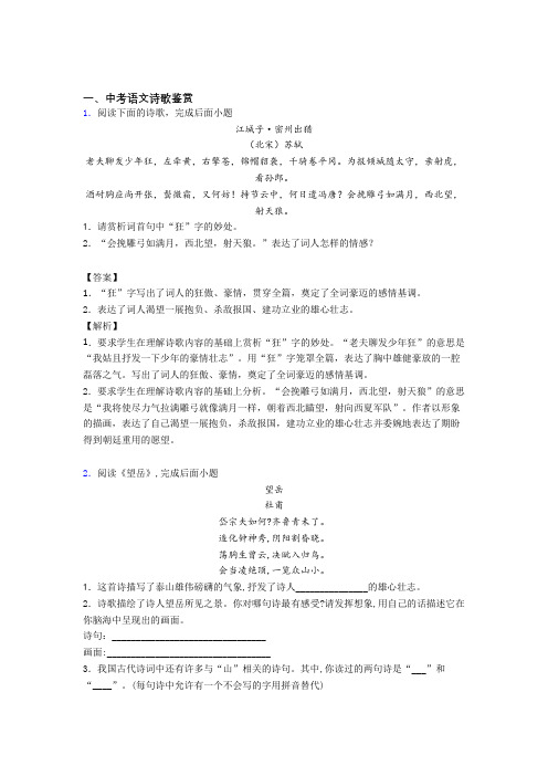 2020-2021语文诗歌鉴赏的专项培优易错试卷练习题(含答案)及答案