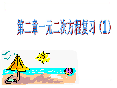 浙教版八年级数学下册第二章一元二次方程复习课件(共27张PPT)(1)