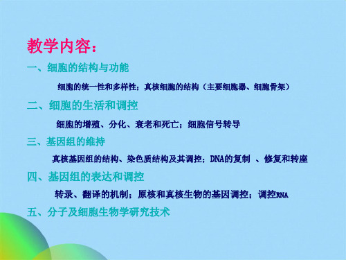 细胞生物学课件(共137张PPT)