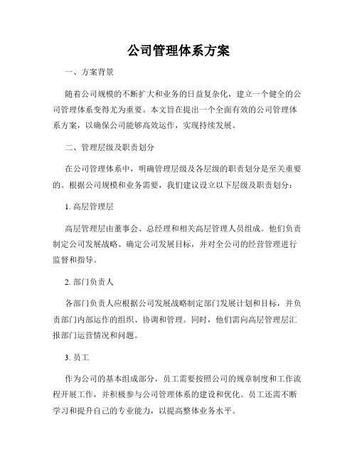 公司管理体系方案