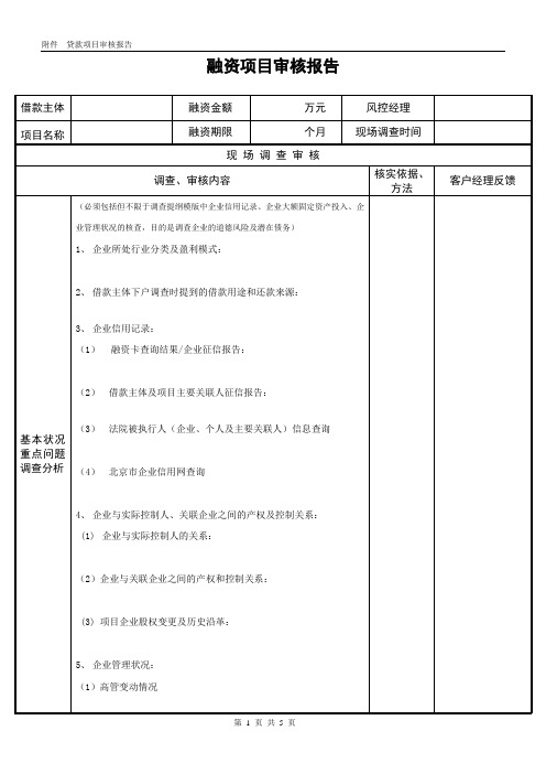 项目风险审核报告