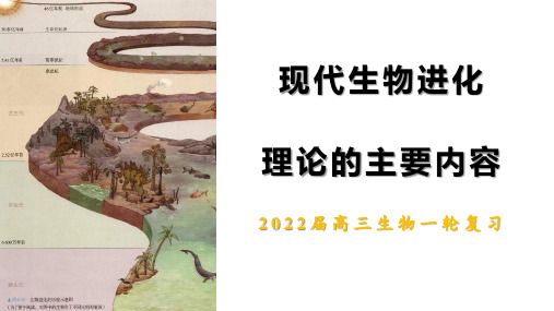 2022届高三一轮复习生物课件：现代生物进化理论的主要内容  24张