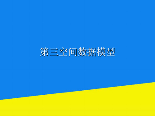 第三空间数据模型【实用资料】