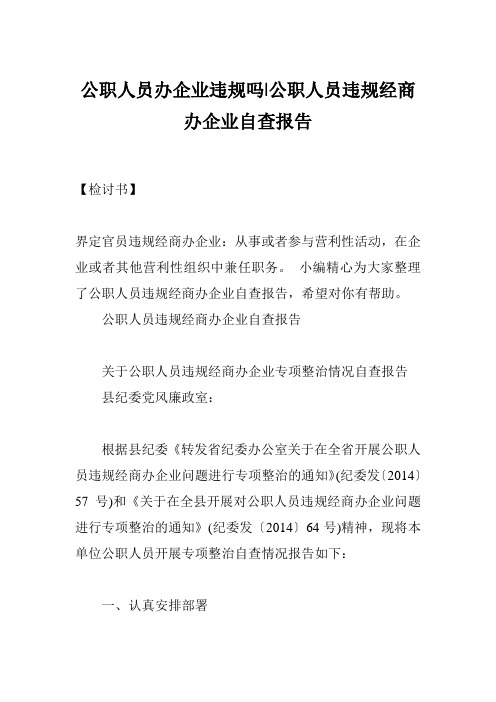 公职人员办企业违规吗-公职人员违规经商办企业自查报告