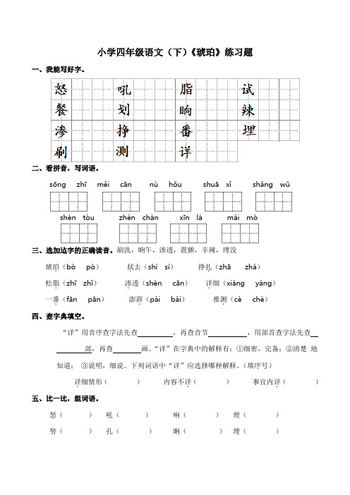 5 《琥珀》    同步练习(含答案)