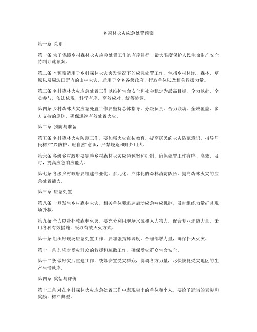 乡森林火灾应急处置预案