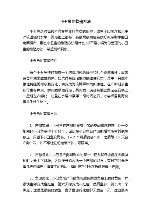 小丑鱼的繁殖方法