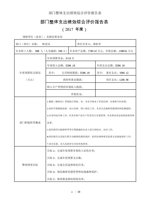 部门整体支出绩效综合评价报告表