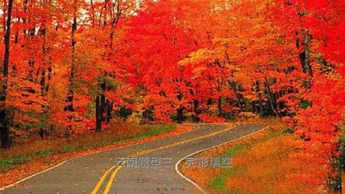中考英语总复习 第3部分 云南题型复习 题型三 完形填空课件