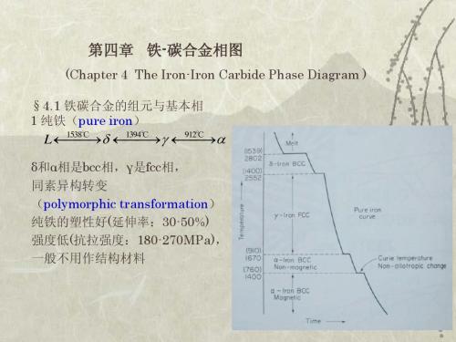 Fe-C合金相图详解