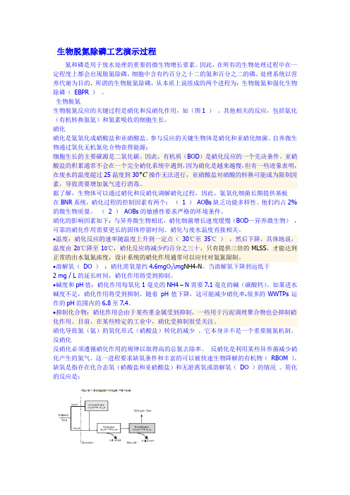 生物脱氮除磷工艺演示过程