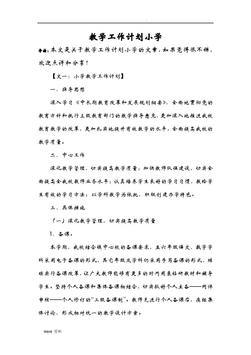 教学工作计划小学