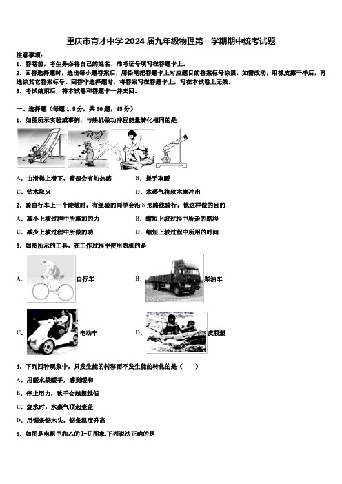 重庆市育才中学2024届九年级物理第一学期期中统考试题含解析