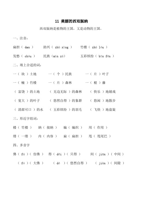 小学二年级下语文课课知识重点 11 美丽的西双版纳