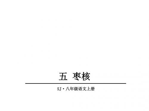 八年级语文上5.枣核(苏教版)优秀PPT课件