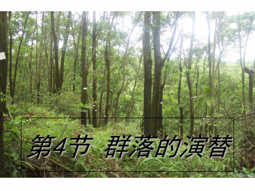 高中生物必修三第四章第四节《群落的演替》课件