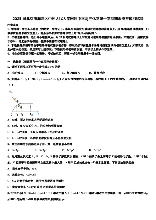 2025届北京市海淀区中国人民大学附属中学高三化学第一学期期末统考模拟试题含解析