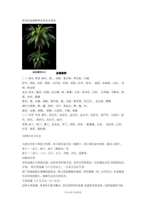 常见的盆栽树种及观赏分类表