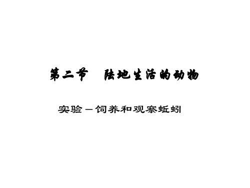 八年级生物饲养和观察蚯蚓(新编201910)