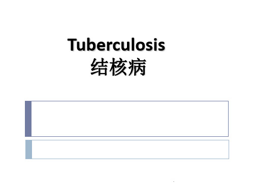 病理学--结核病