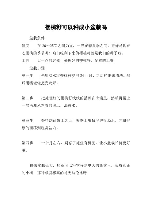 樱桃籽可以种成小盆栽吗