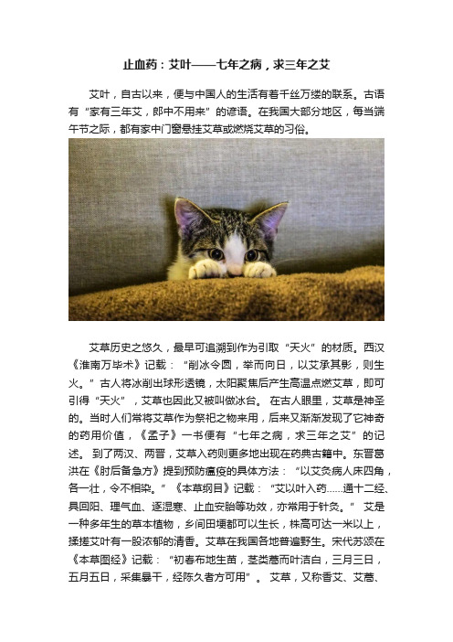 止血药：艾叶——七年之病，求三年之艾