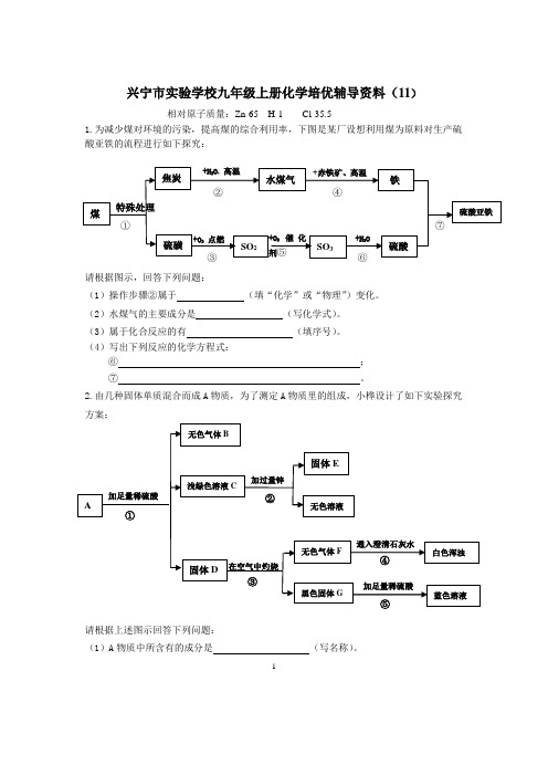 兴宁市实验学校九年级下册化学第八单元 培优辅导资料(11)(八单元)