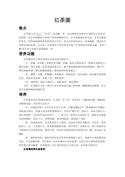 红茶菌