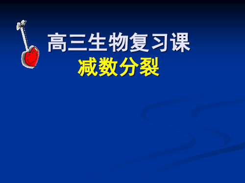 复习课减数分裂PPT课件