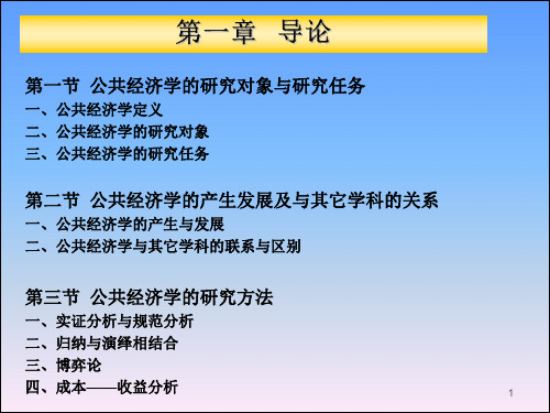 公共经济学精品课件 (1)