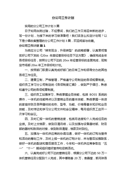 分公司工作计划