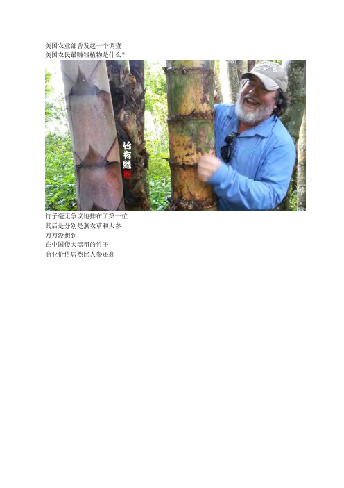 美国农民种一亩竹子赚40万