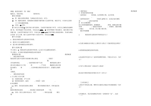 腐乳的制作学案.doc