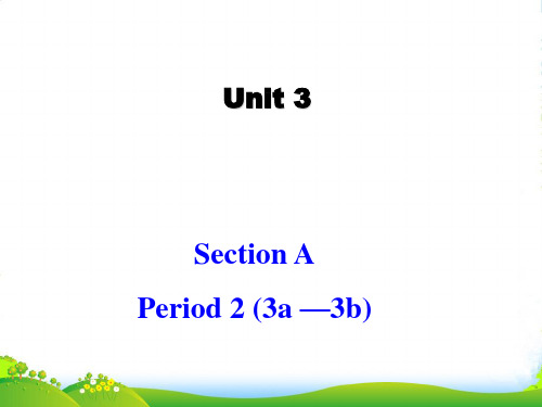 人教英语九年级全册Unit3Section A3a —3b(共17张PPT)-课件